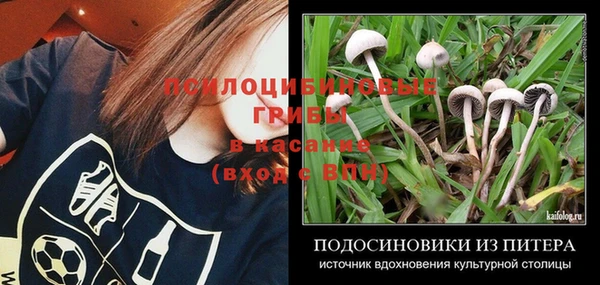 мет Горнозаводск