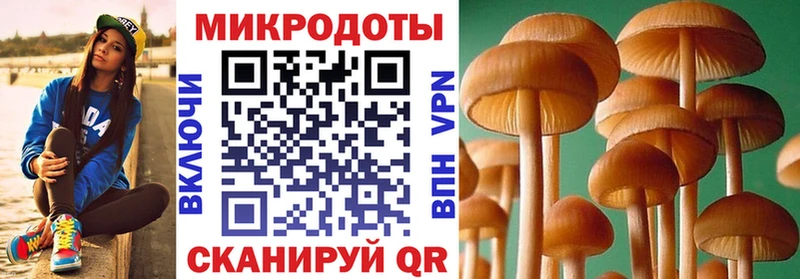 Псилоцибиновые грибы MAGIC MUSHROOMS  Купить  Керчь 